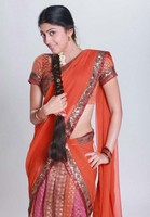Pranitha Half Saree Photos